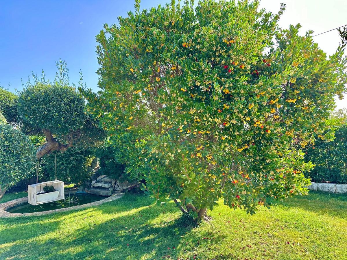 Trullo Il Carrubo Villa Алберобело Екстериор снимка